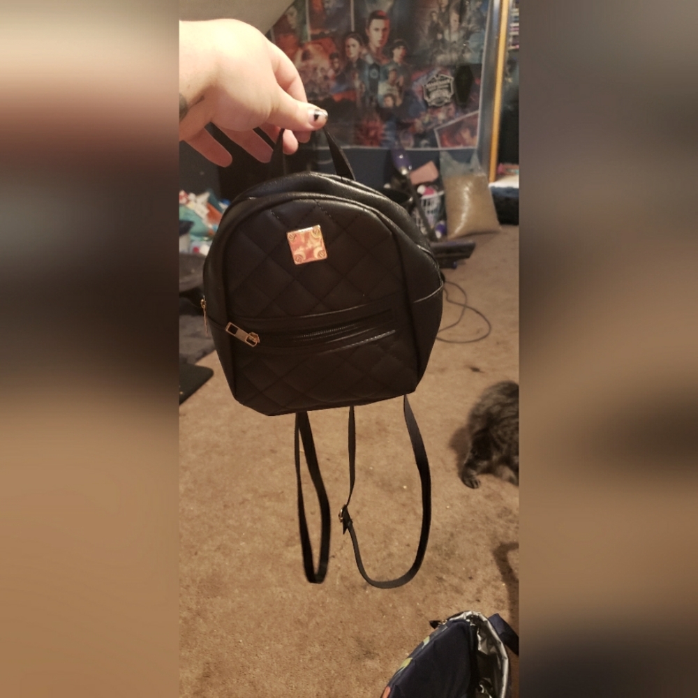 Backpack purse
